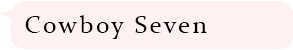 Cowboy Seven
